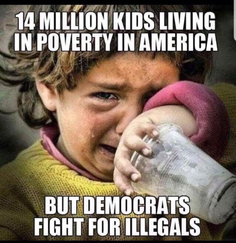 Daniel Hall tweet media