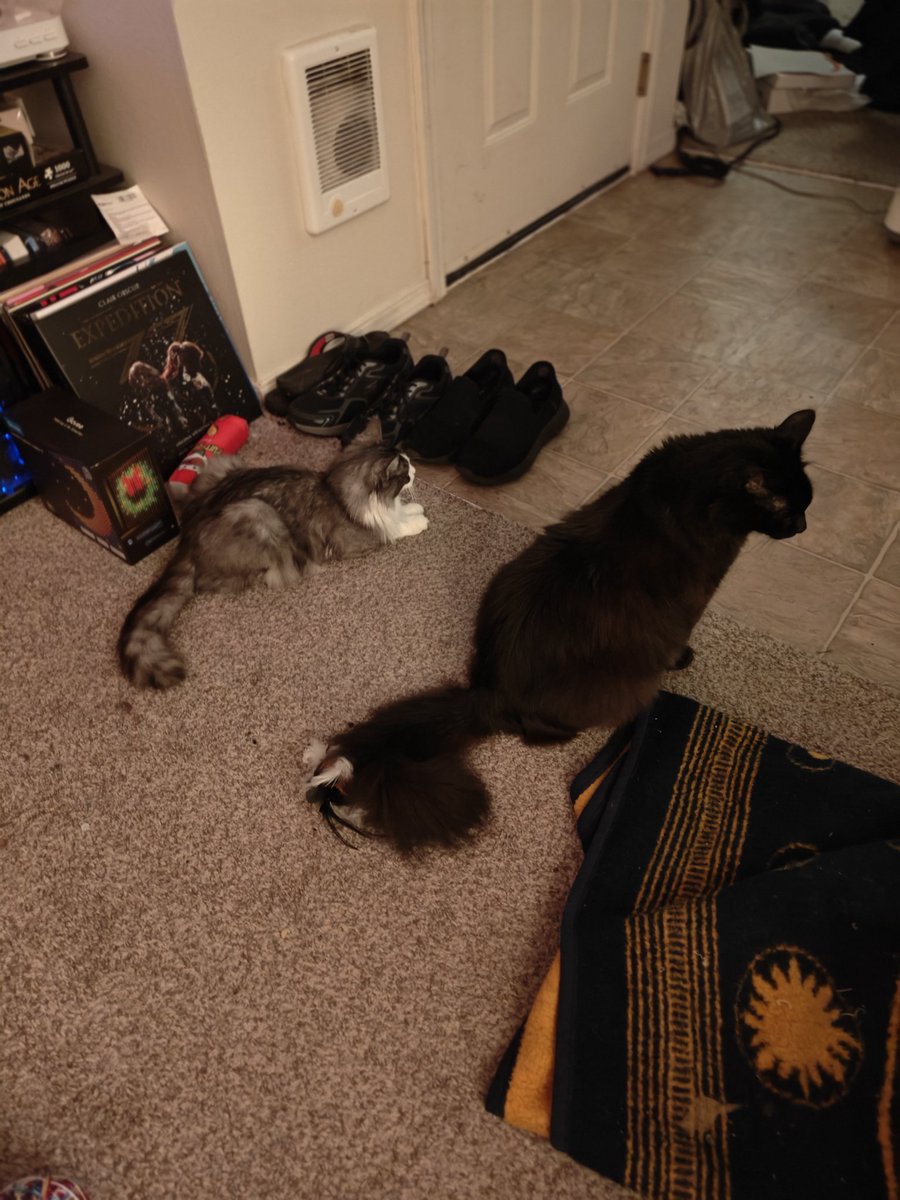 El Lo-Oh tweet media