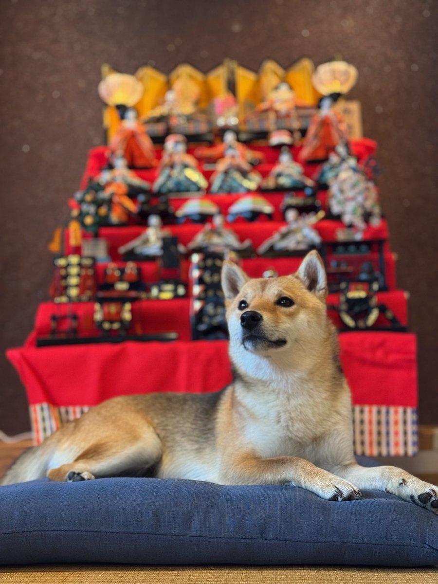 Kantaro San tweet media