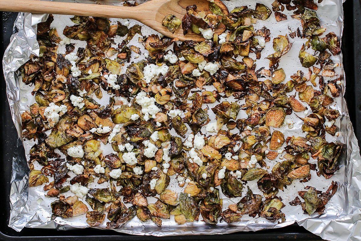 Anna Vocino tweet media