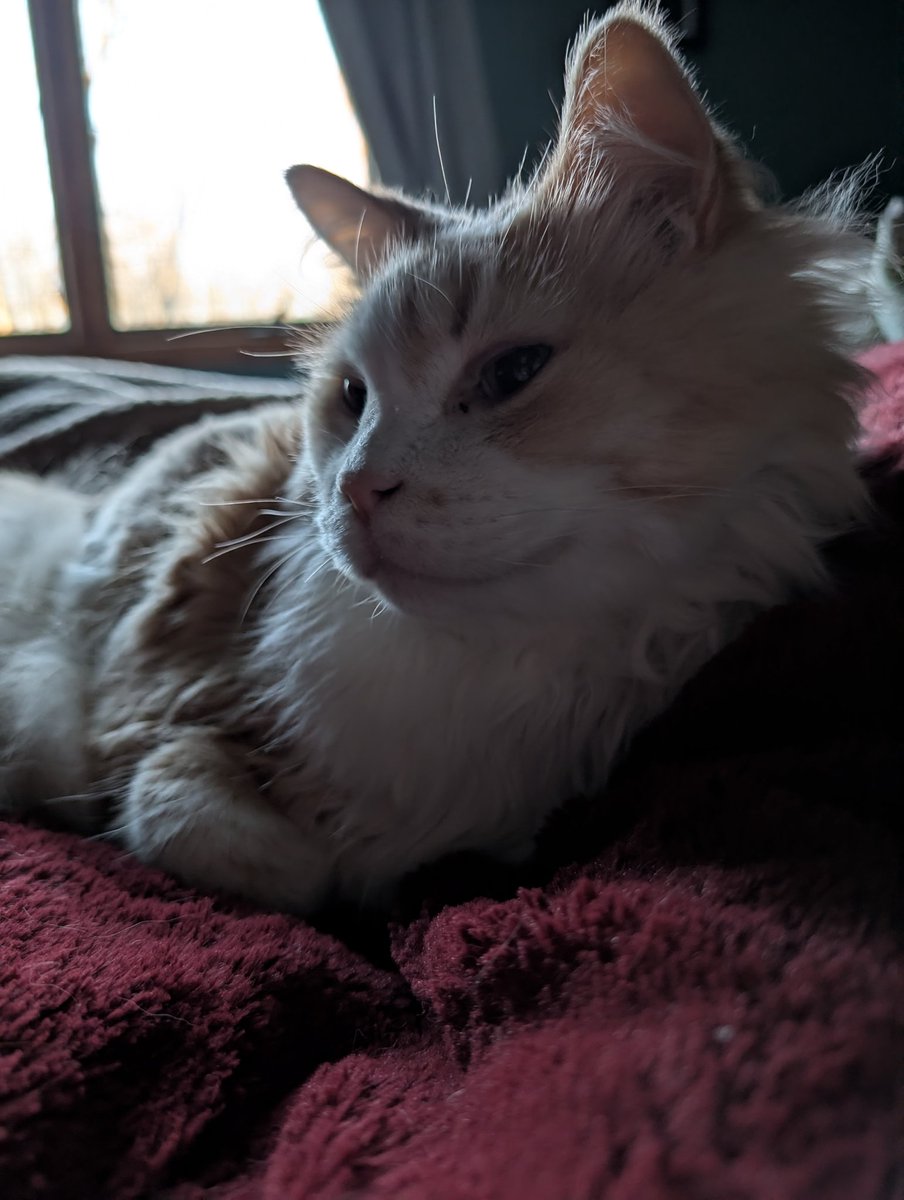 Kasey🌻👻 tweet media