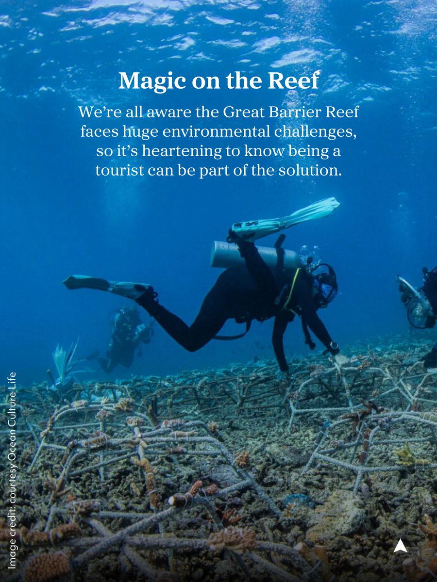 Australian Geographic tweet media