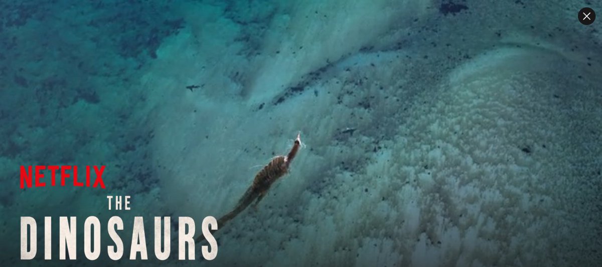 Lil Darth Trooper tweet media