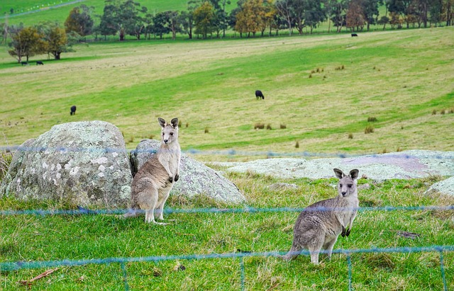 Edward Watts tweet media