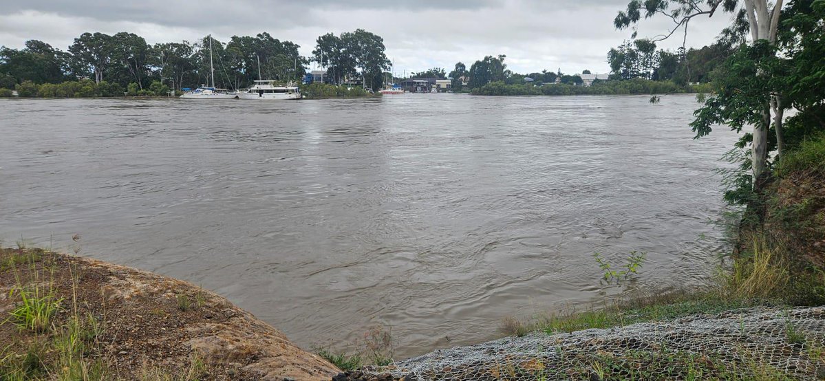 Steven Miles tweet media