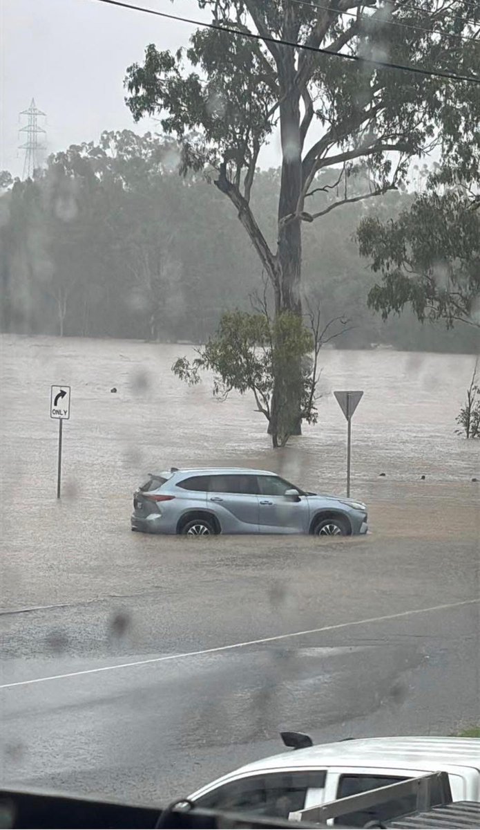 Steven Miles tweet media