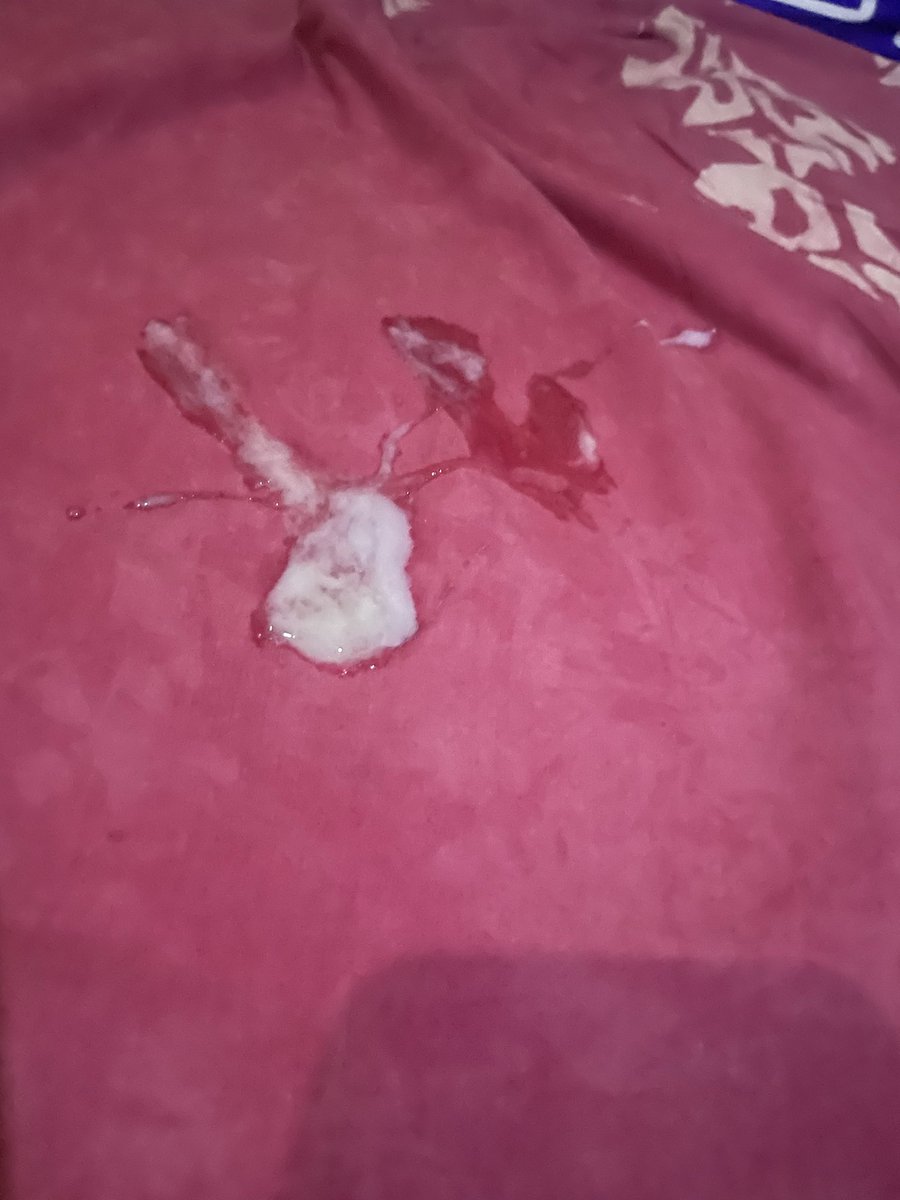 ô mulema tweet media