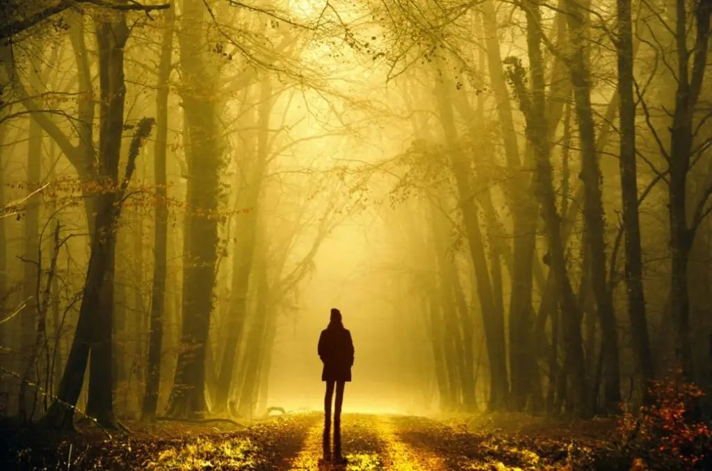 Carlos Mata Indurain tweet media