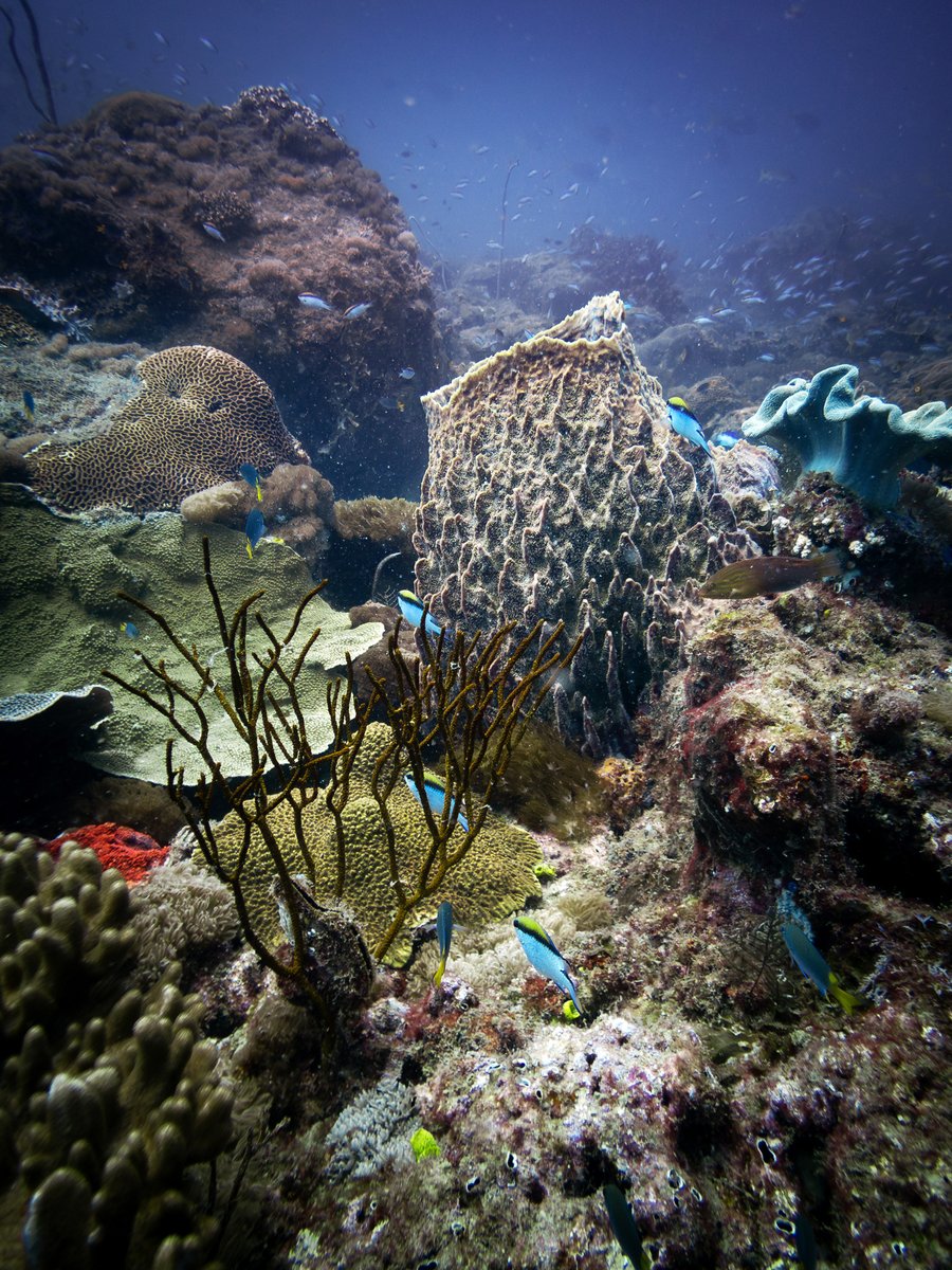 Warren Prior tweet media