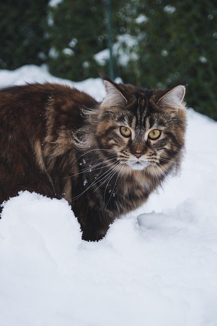 Matt Antoine tweet media