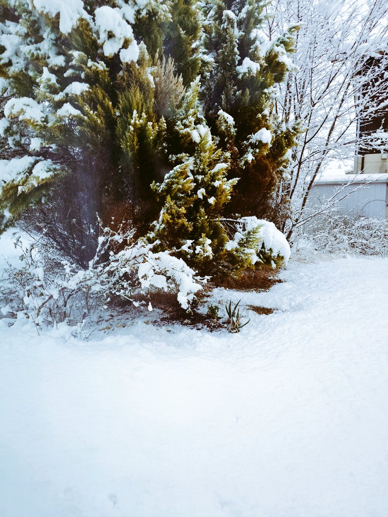 Naziwow's tweet photo. めっちゃ雪！ https://t.co/LvIFEVZlvF