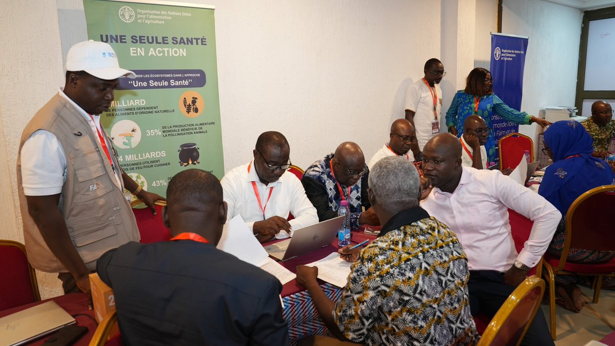 FAOauTogo's tweet photo. Au menu des discussions :
✅élaboration des critères,
✅construction des questionnaires et modalités de réponse,
✅pondération des questions,
✅validation des résultats en plénières.
Un processus participatif et multisectorielle pour une réponse coordonnée.
#Résilience🩺🏥⚕️
2/3 https://t.co/tAgp86yfvd