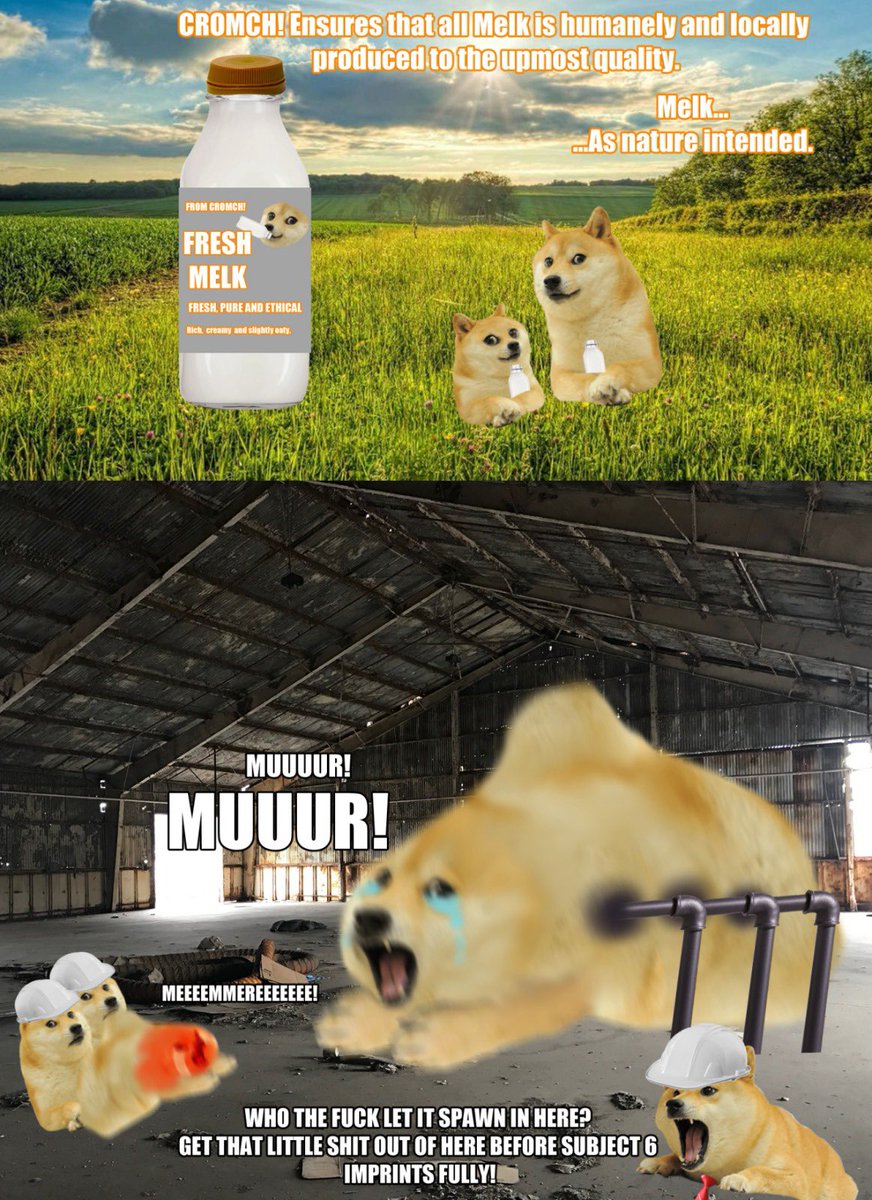 Lucky🍀 tweet media