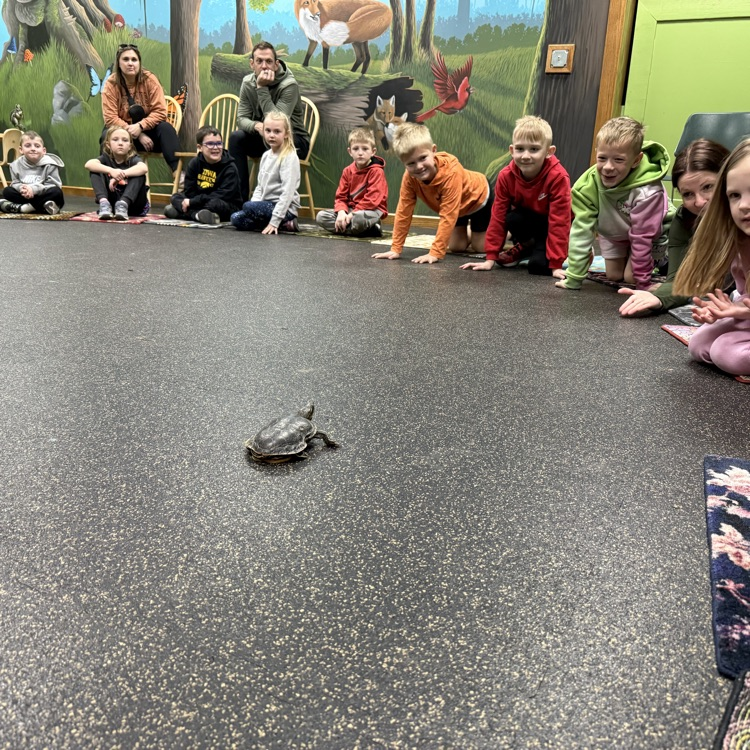 Solon CSD tweet media