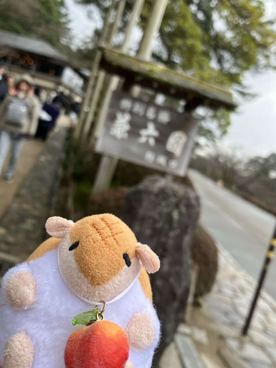 コモリ tweet media