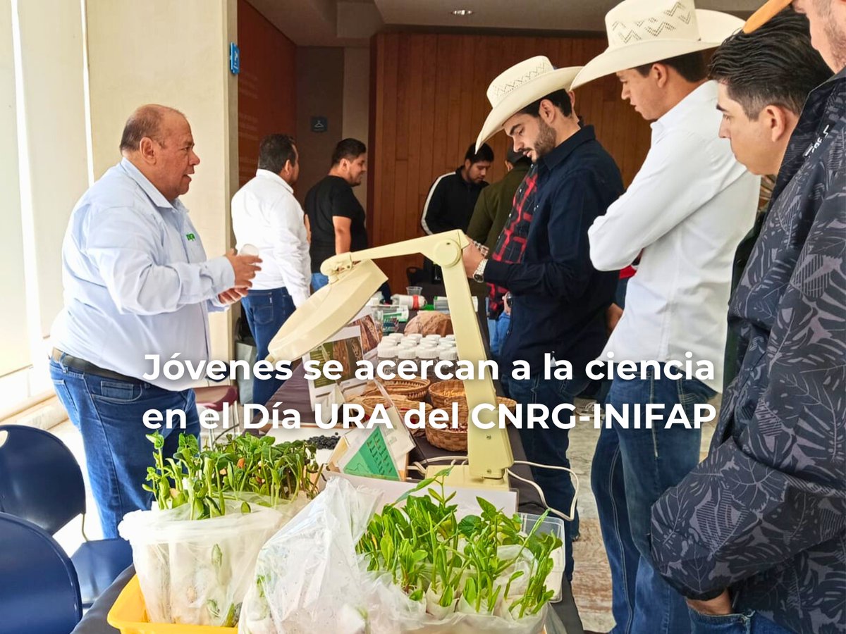 inifap's tweet photo. El CNRG del INIFAP abrió sus puertas a estudiantes y jóvenes interesados en conocer de cerca el trabajo científico que se realiza para la conservación de los recursos genéticos de México.

📖 Conoce más en la nota completa aquí: https://t.co/otx1sXoHAX https://t.co/tiBbLdf92G