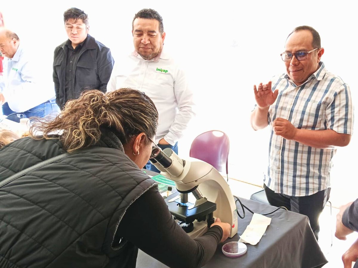 inifap's tweet photo. El CNRG del INIFAP abrió sus puertas a estudiantes y jóvenes interesados en conocer de cerca el trabajo científico que se realiza para la conservación de los recursos genéticos de México.

📖 Conoce más en la nota completa aquí: https://t.co/otx1sXoHAX https://t.co/tiBbLdf92G