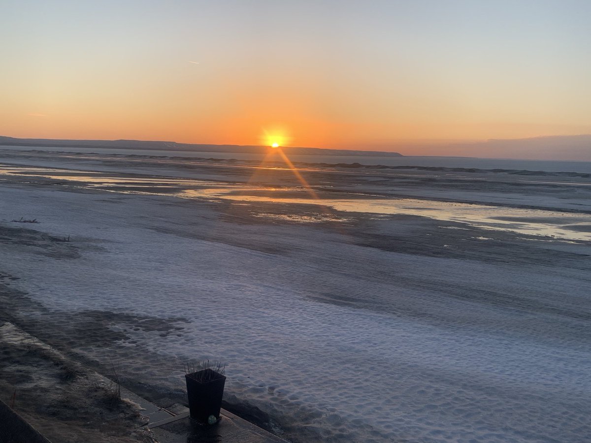 mark zwolinski tweet media