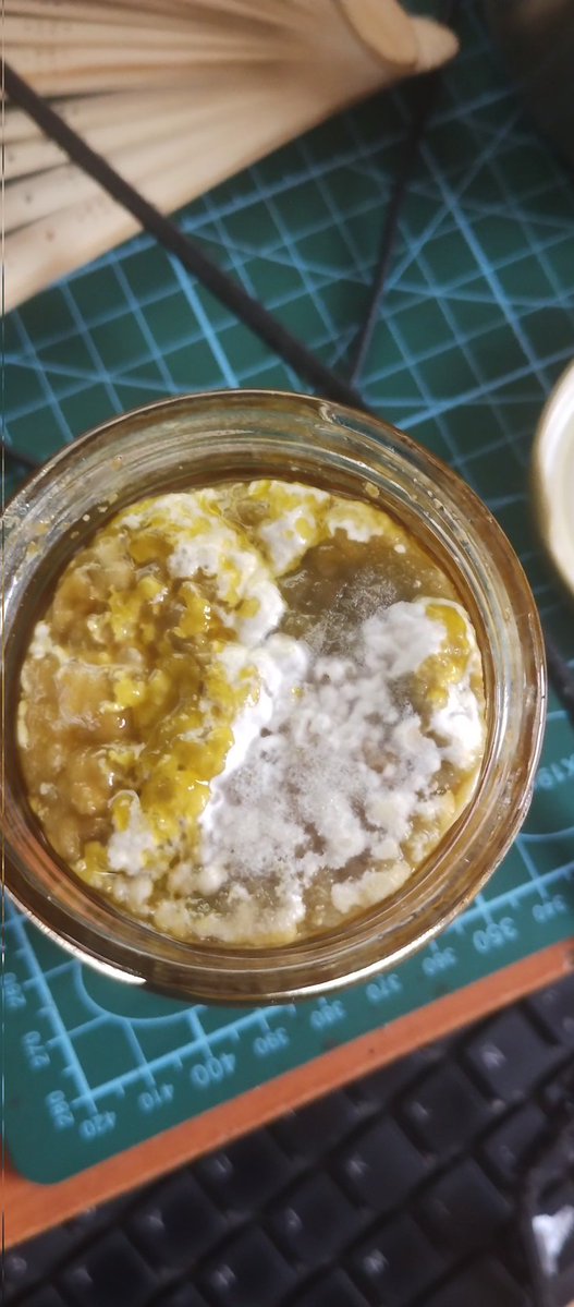 Claudia Torres tweet media