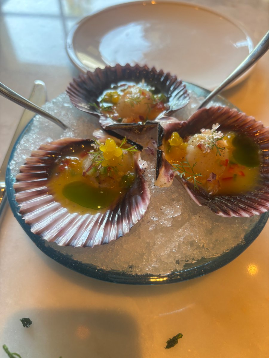 Danielle Radin tweet media