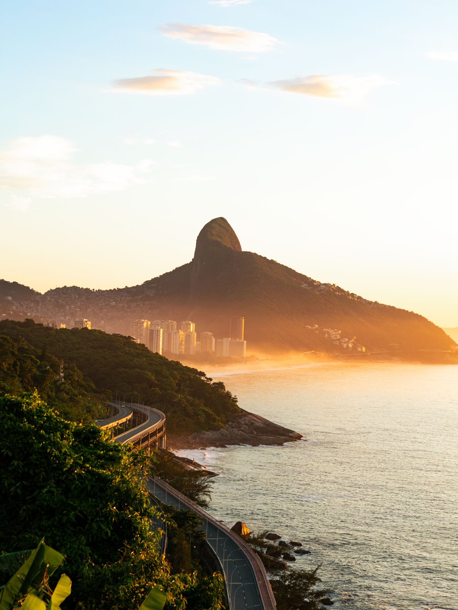 NatureRoot88's tweet photo. Rio De Janeiro, Brazil 🇧🇷 https://t.co/yXTVPYSsLe