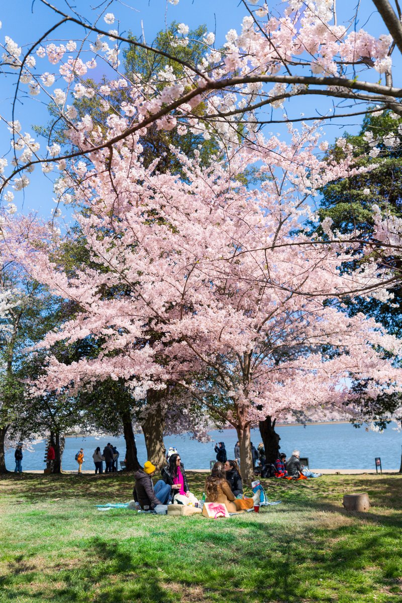 Visit Washington, DC tweet media