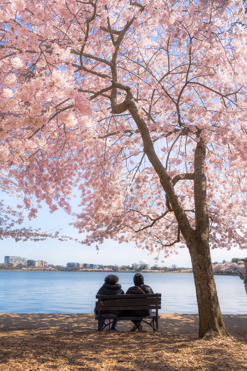 Visit Washington, DC tweet media