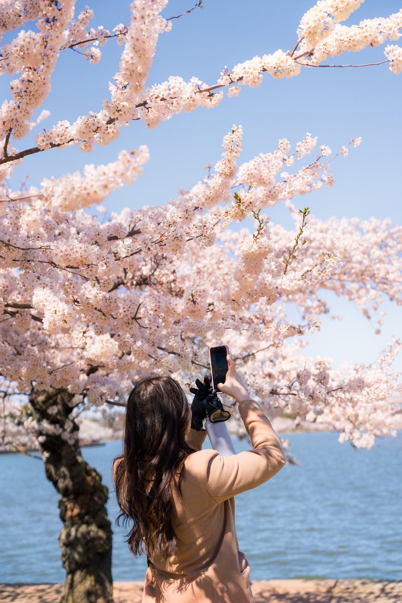 Visit Washington, DC tweet media