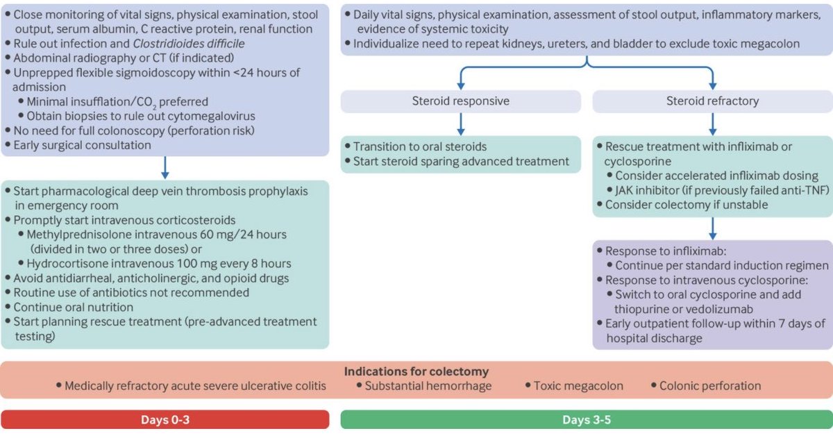 Jana G Hashash, MD, MSc tweet media