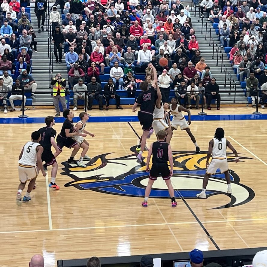 Pro Insight tweet media