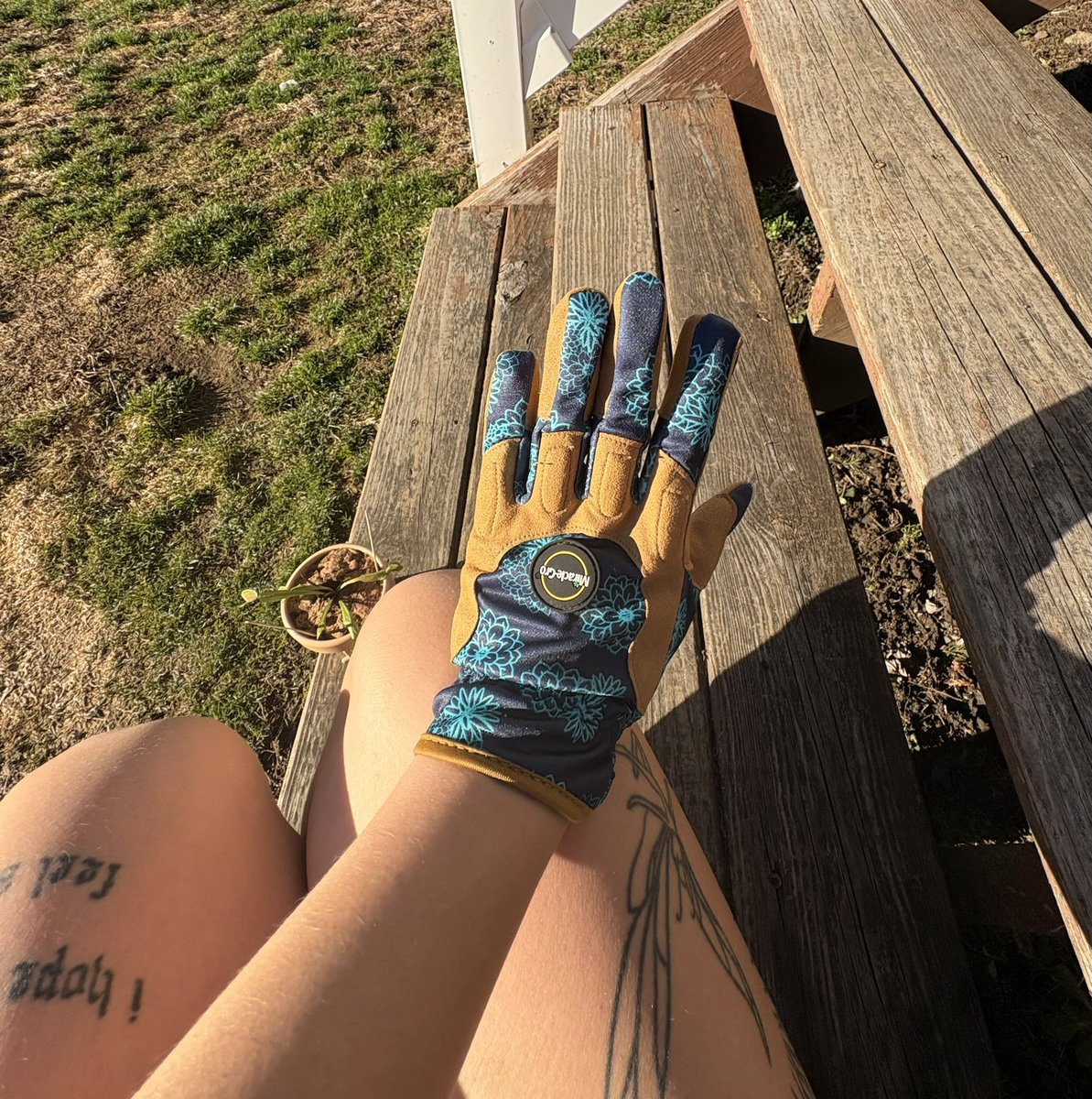 jess.jpg tweet media