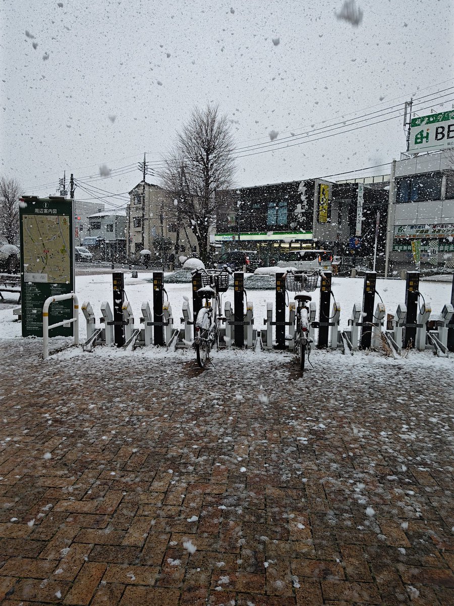 まちゃ🦊💙🪬 tweet media