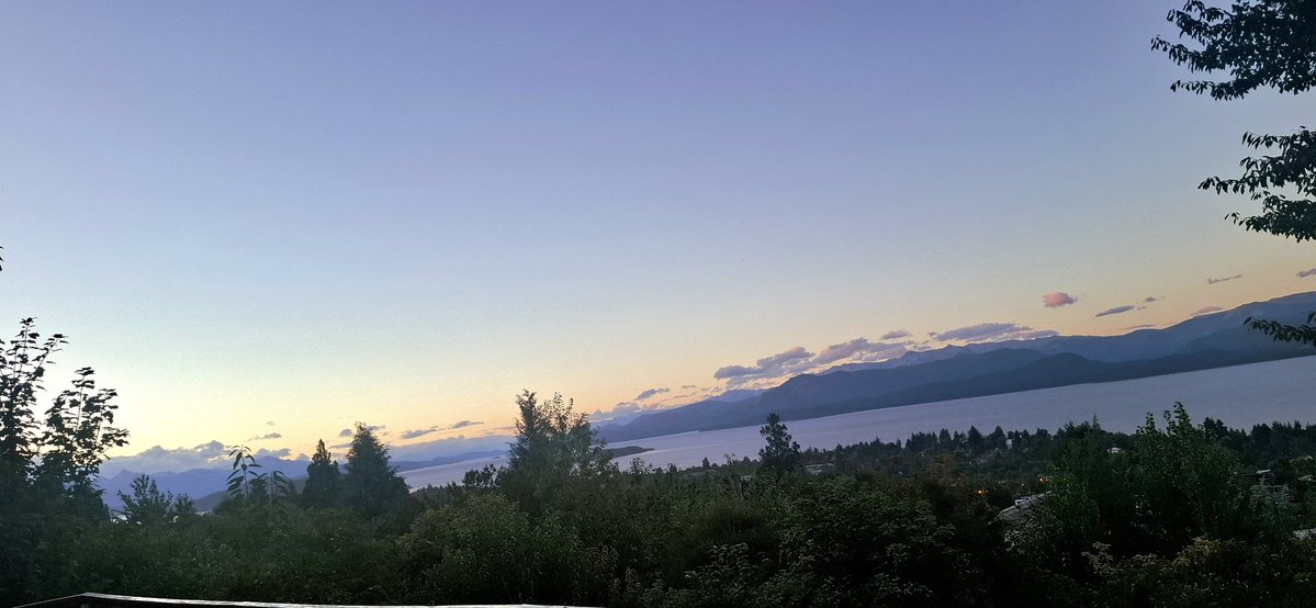 dbm 2025 tweet media