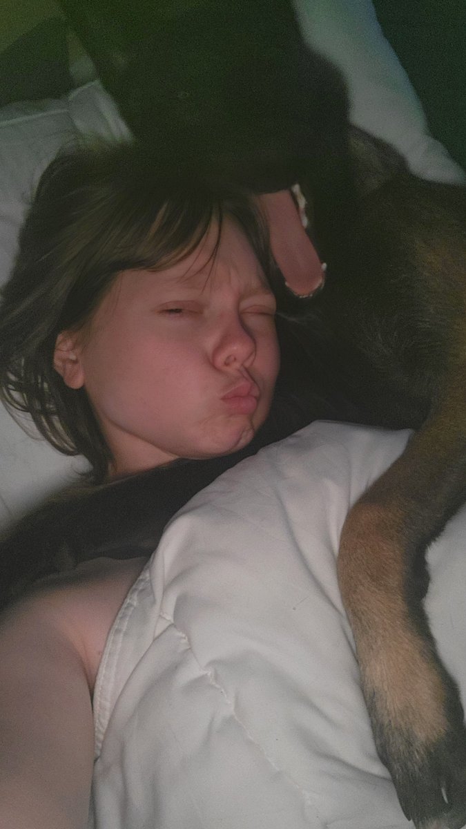 ˚₊‧꒰ა ᴘᴏᴛᴀᴄʜɪ ໒꒱ ‧₊˚ tweet media