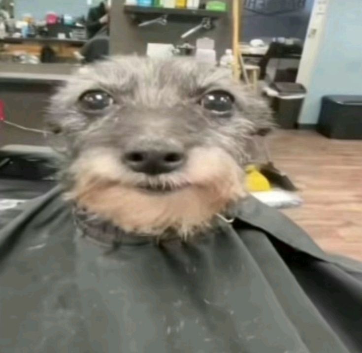 Knigthw4ve 🔞(close commisions) tweet media