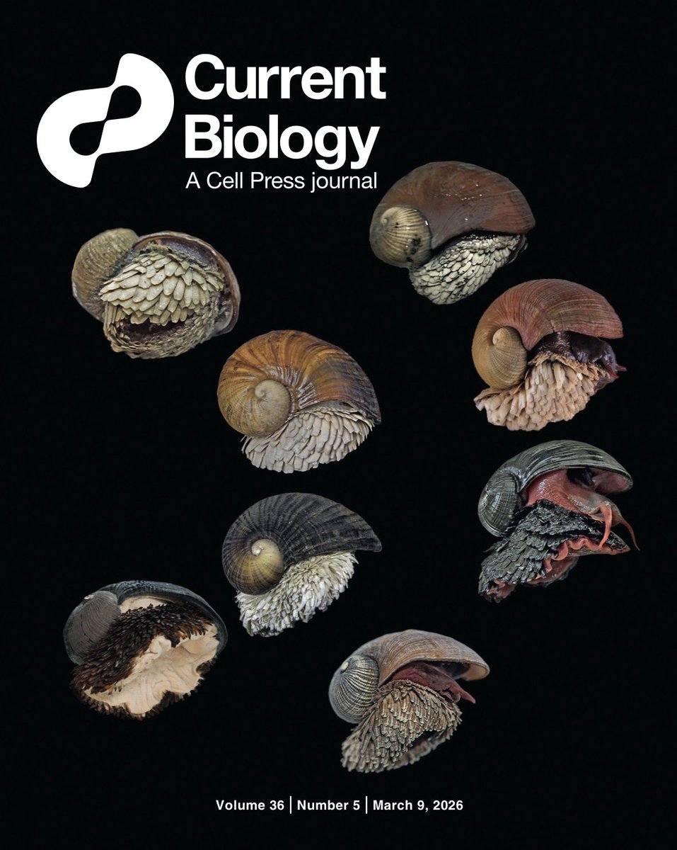 本作、なんと<a href="/CurrentBiology/">Current Biology</a>誌最新号の表紙を飾りました! 
cell.com/current-biolog…

<a href="/1031kentakai/">高井研</a> <a href="/JinSun_hkust/">Jin Sun @OUC</a>