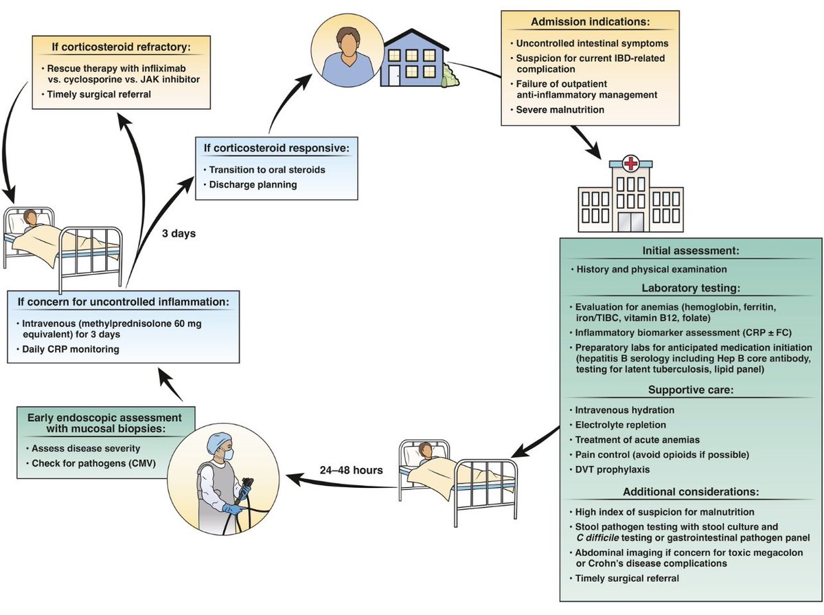 Jana G Hashash, MD, MSc tweet media
