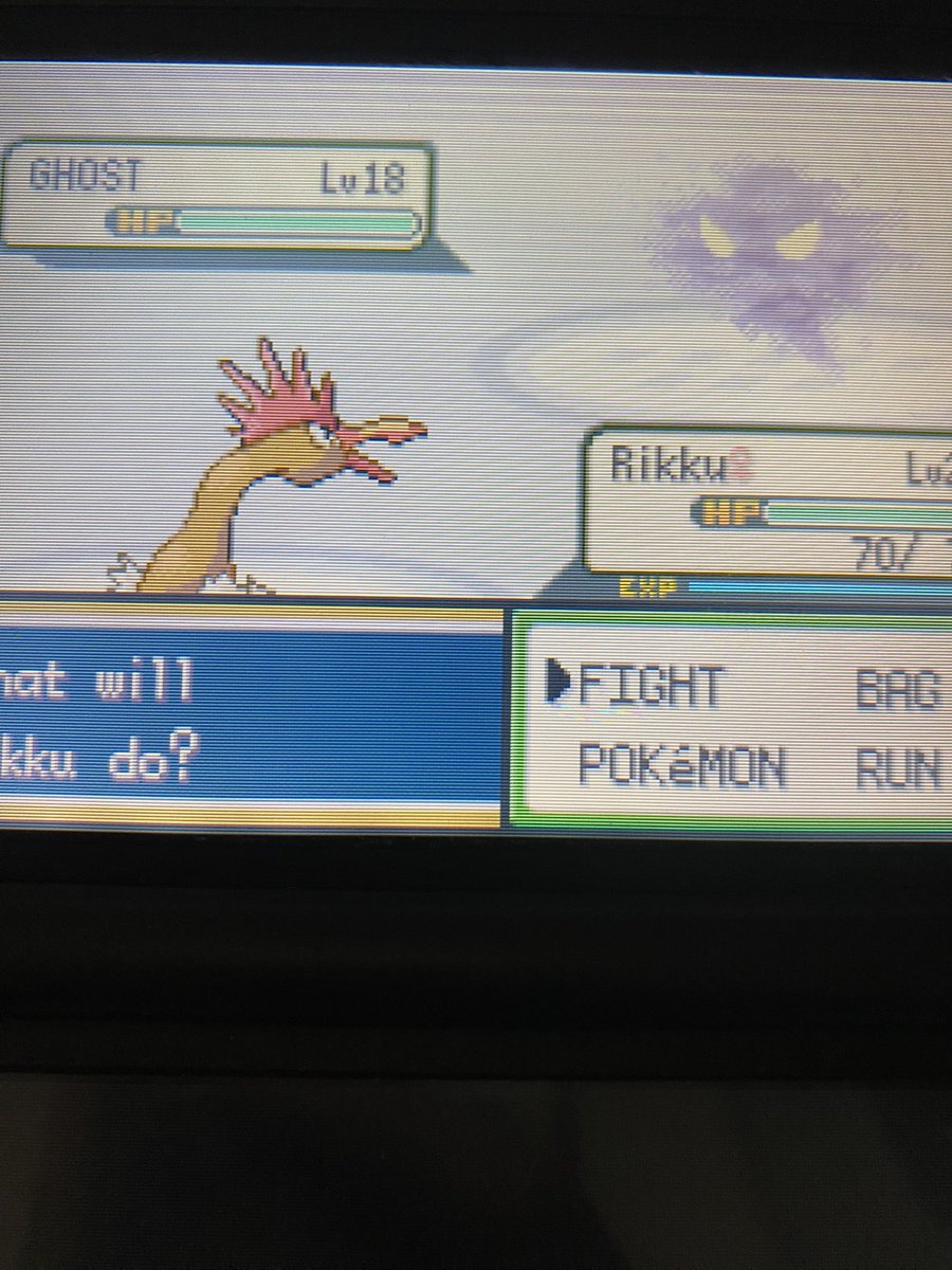 ☆Mirai_Draws🇵🇷☆ tweet media