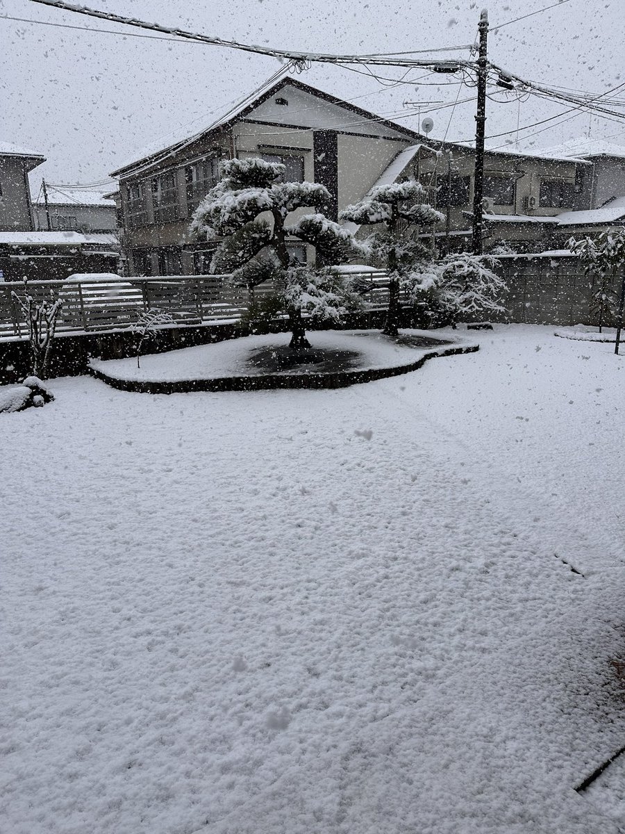 べ〜さん tweet media