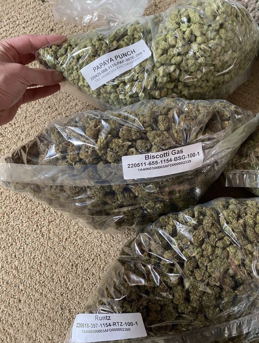 elmer_budd420's tweet image. 1-PAPAYA PUNCH 
2-BISCOTTI GAS
3-RUNTZ 

Pick just one you’ll love to smoke

Link in the bio for deals