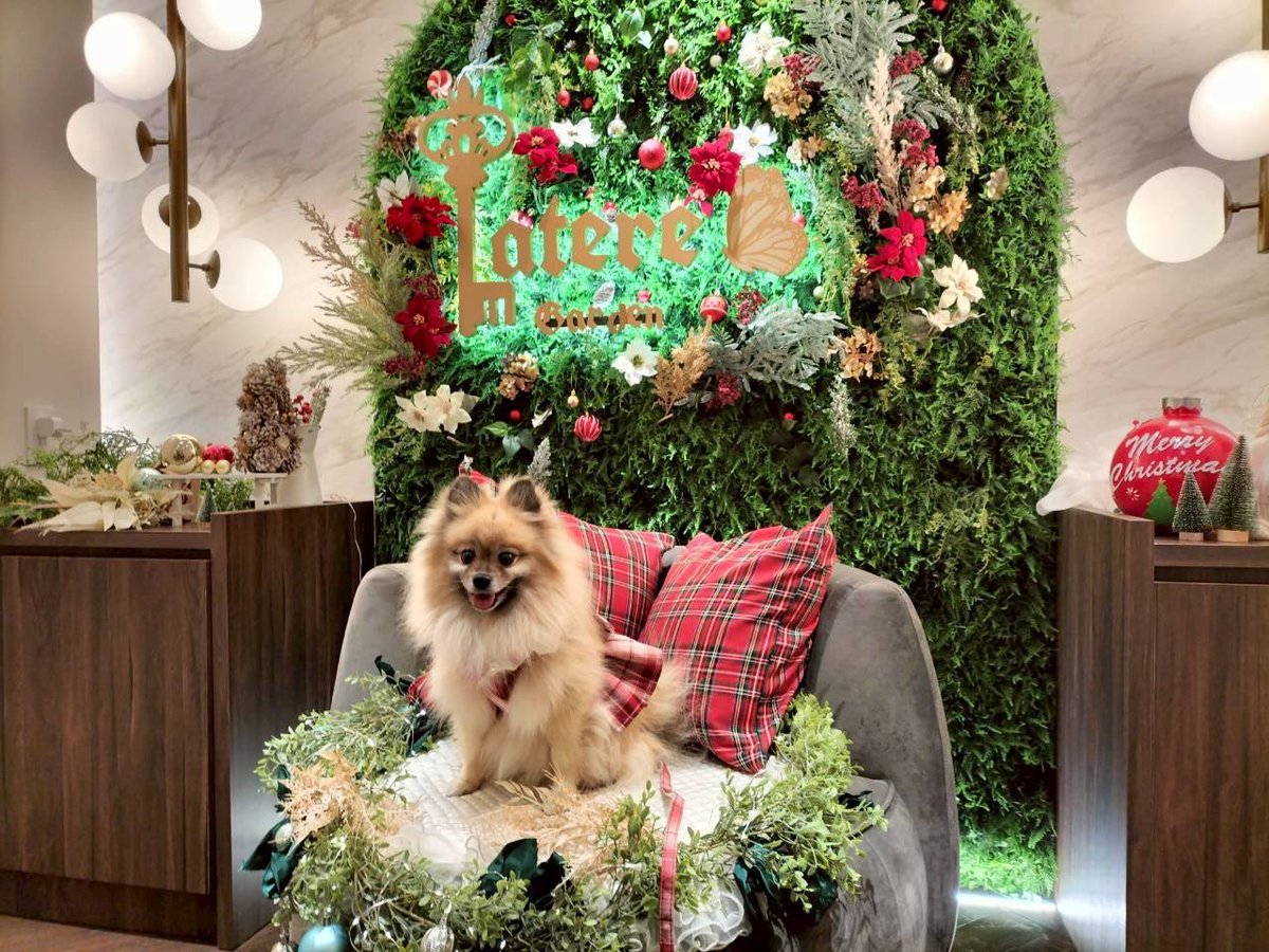 こばママ tweet media