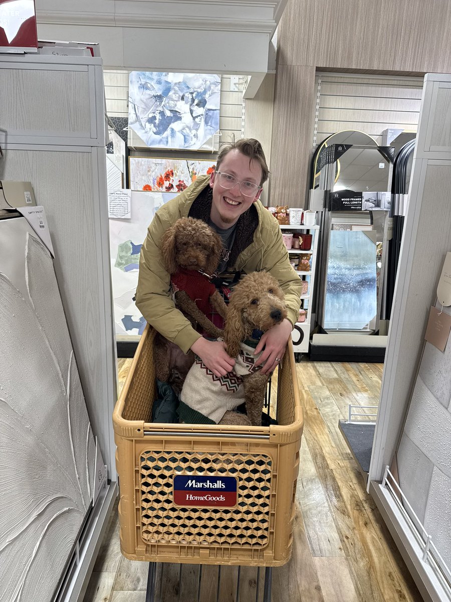 cailin thor tweet media