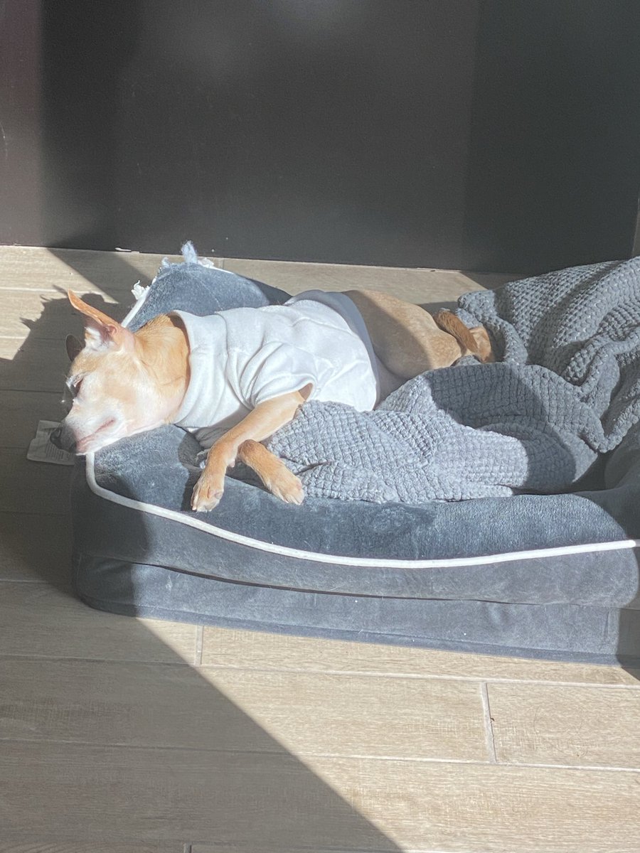 🦑Tainted Pact Games🦑 tweet media