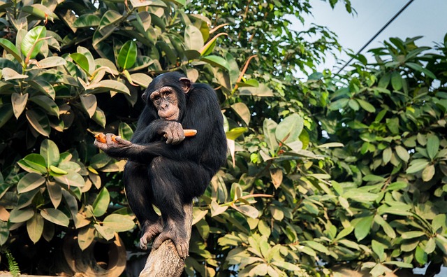 Edward Berry tweet media