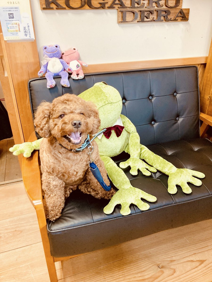 月曜の稼働立会で終わる予定が
色々と客先の注文が付き
追加修正😭

もう少しかかります🚧⚡

🐶💢いつ🐸ん？