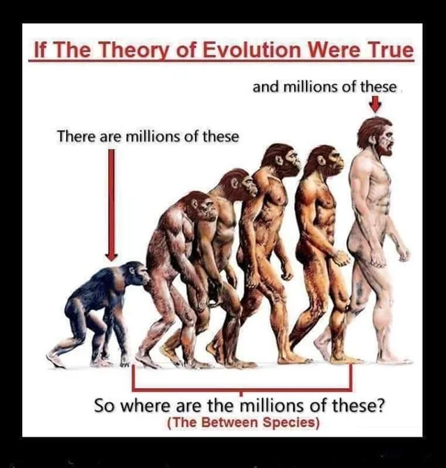 🇺🇸 Be Prepared 🇺🇸 tweet media