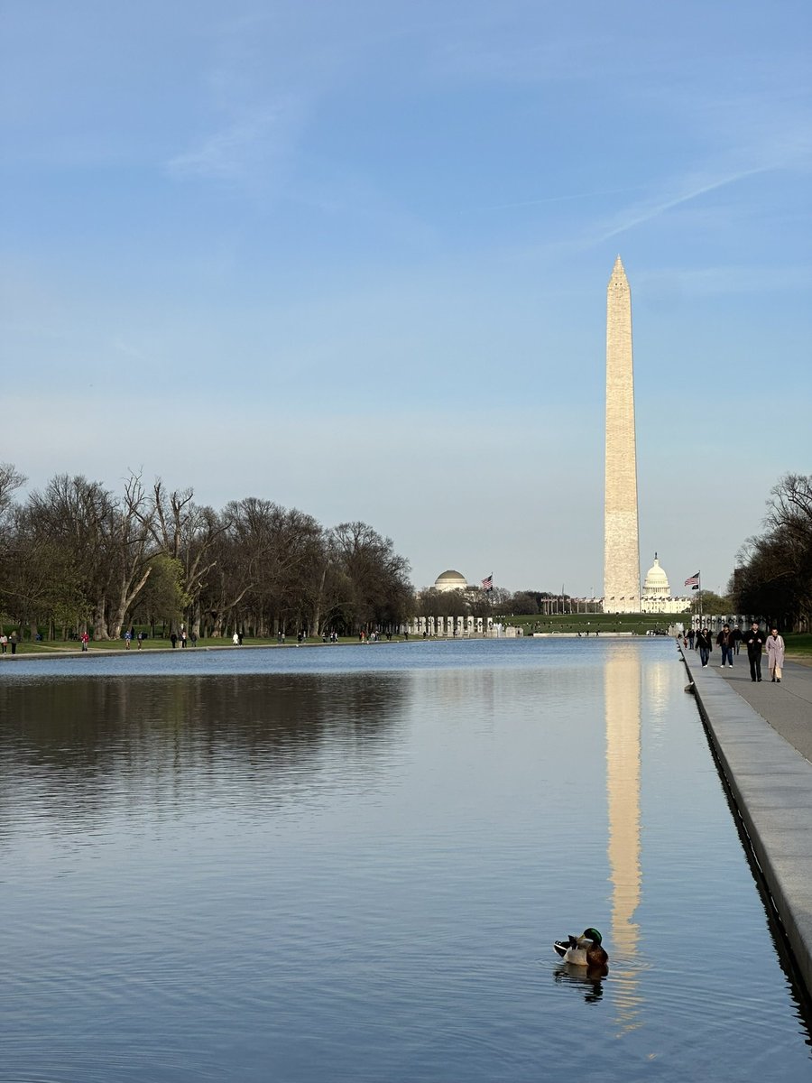 Kayla Haas tweet media