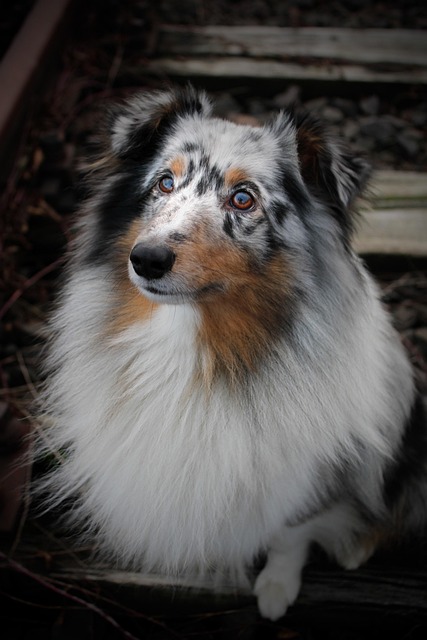 Brandon Muin tweet media