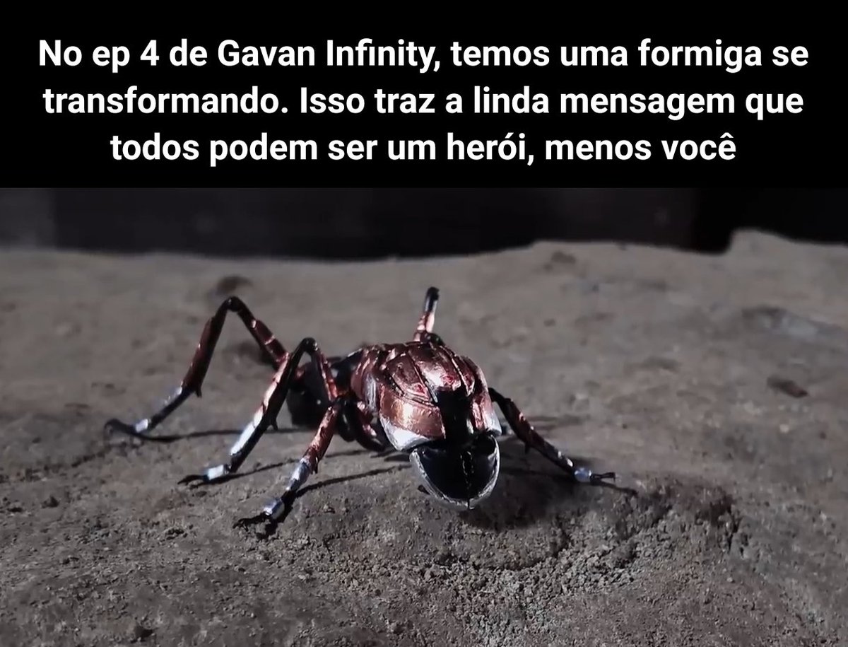 Toku nosso de cada dia tweet media