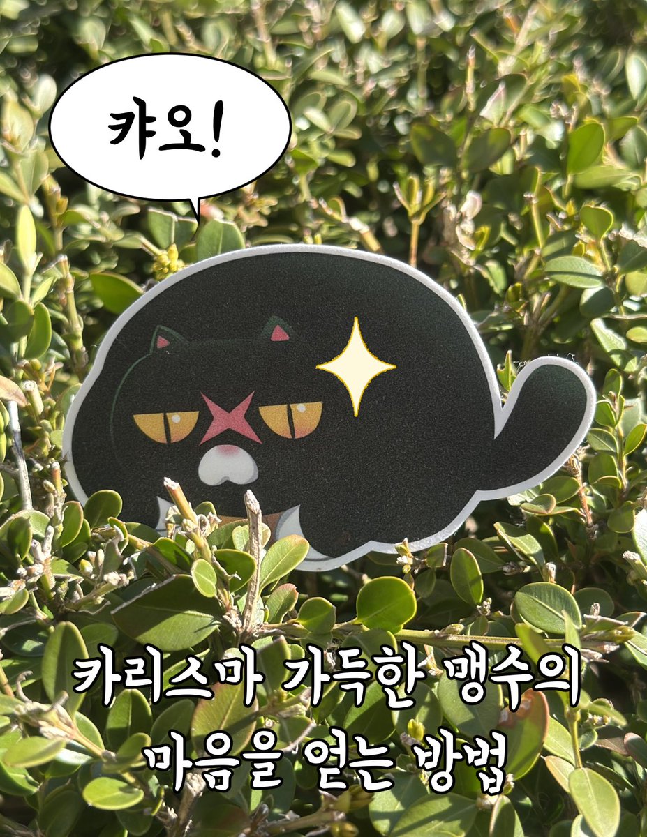 muslcular_5's tweet photo. RT이벤트] 💌 "비밀 펜팔을 시작하시겠소?"
선비 '하루'가 전하는 열두 번의 다정한 유람기. 잊고 있던 편지의 설렘을 다시 깨워보세요.
🎁 지금 펀딩하면 하루의 첫 친구가 될 수 있습니다! (귀여운 #스티커 는 덤✨)
🔗 https://t.co/IlQYPAXkLs
 #rt이벤트 #메일클럽 #텀블벅 #다꾸 #문구덕후 https://t.co/5BSCUGSR37